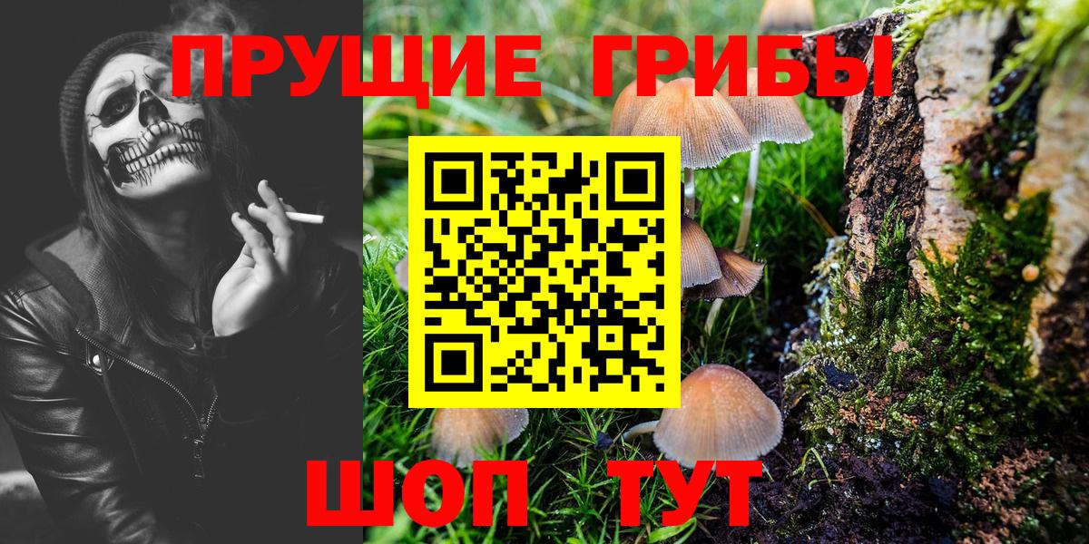купить   Псилоцибиновые грибы мухоморы  Псилоцибиновые грибы прущие грибы  Вход с VPN  Торжок 